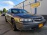 2005 Chevrolet Impala Base (2G1WF52E959) with an 3.4L V6 OHV 12V engine, 4-Speed Automatic transmission, located at 1800 West Broadway, Missoula, 59808, (406) 543-1986, 46.881348, -114.023628 - Photo#6